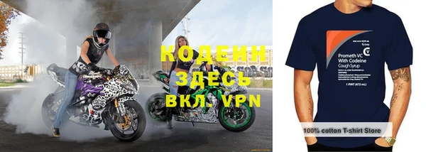 крисы Инсар