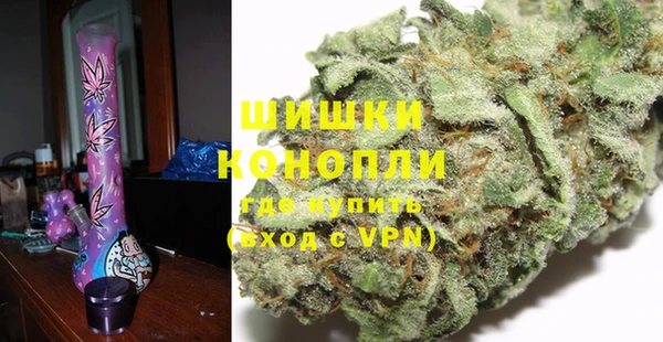 крисы Инсар