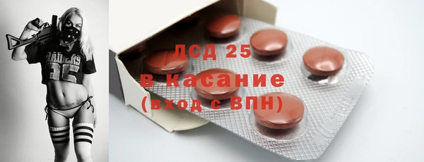 стаф Инта