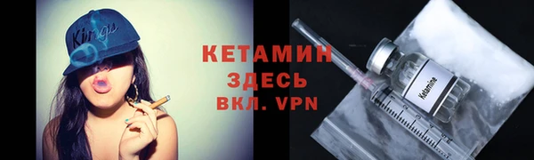 стаф Инта