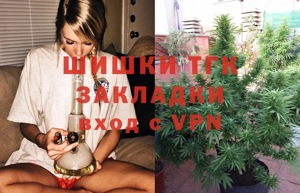 стаф Инта