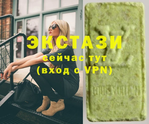 стаф Инта