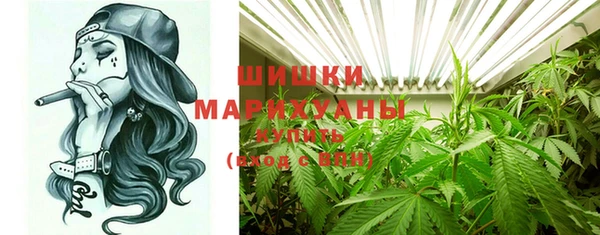 стаф Инта