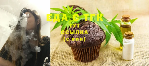стаф Инта