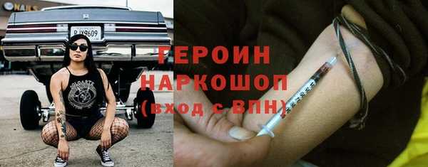 стаф Инта