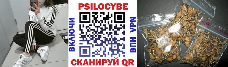 Купить  Верхняя Тура  Псилоцибиновые грибы Cubensis 